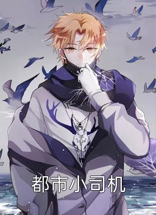 重生八零:嬌妻引入懷封面