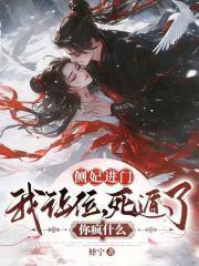 側(cè)妃進(jìn)門我讓位，死遁了你瘋什么封面