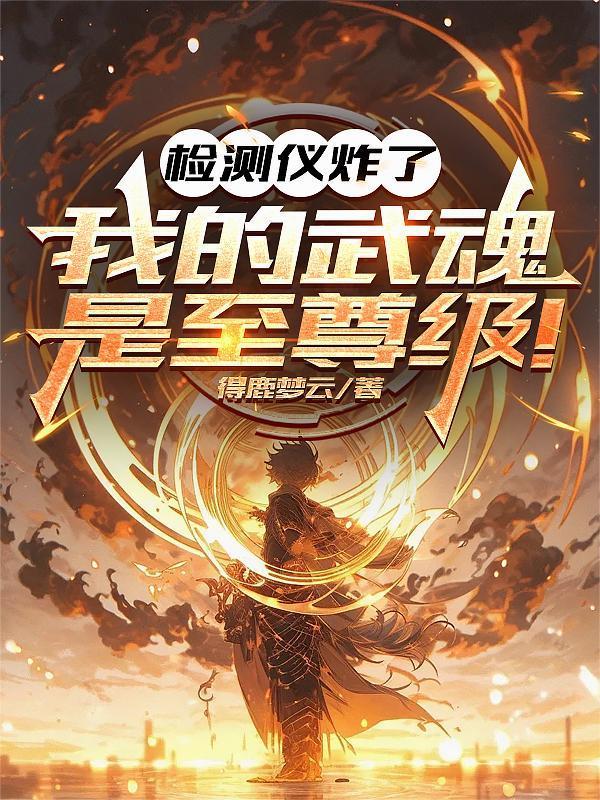 檢測儀炸了：我的武魂是至尊級！封面
