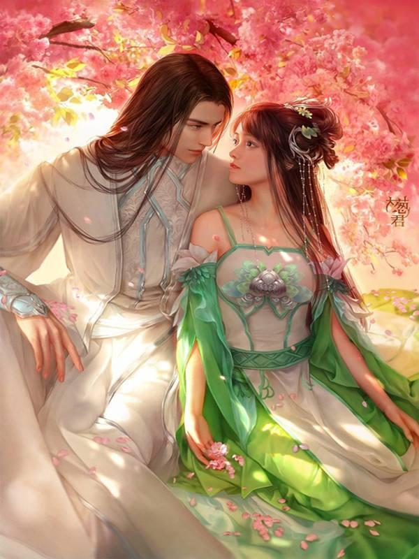 江云宇花芷小說小說封面