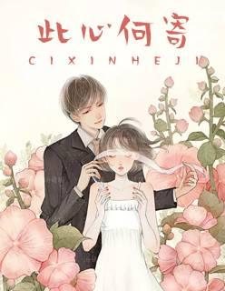 此心何寄封面