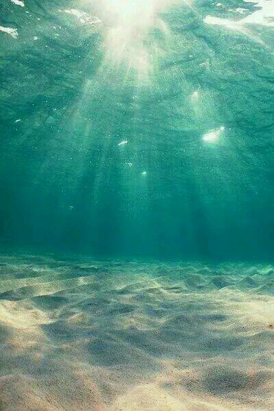 重回身死前，她轉(zhuǎn)身抱緊了死對(duì)頭大腿