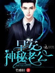 言情小說盛翎傅北霆封面